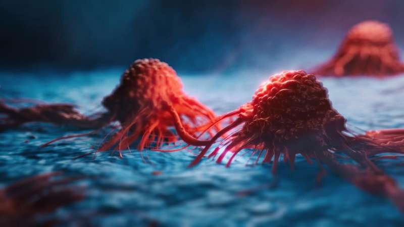 Link between driver of ovarian cancer and metabolism opens up new therapeutic strategies