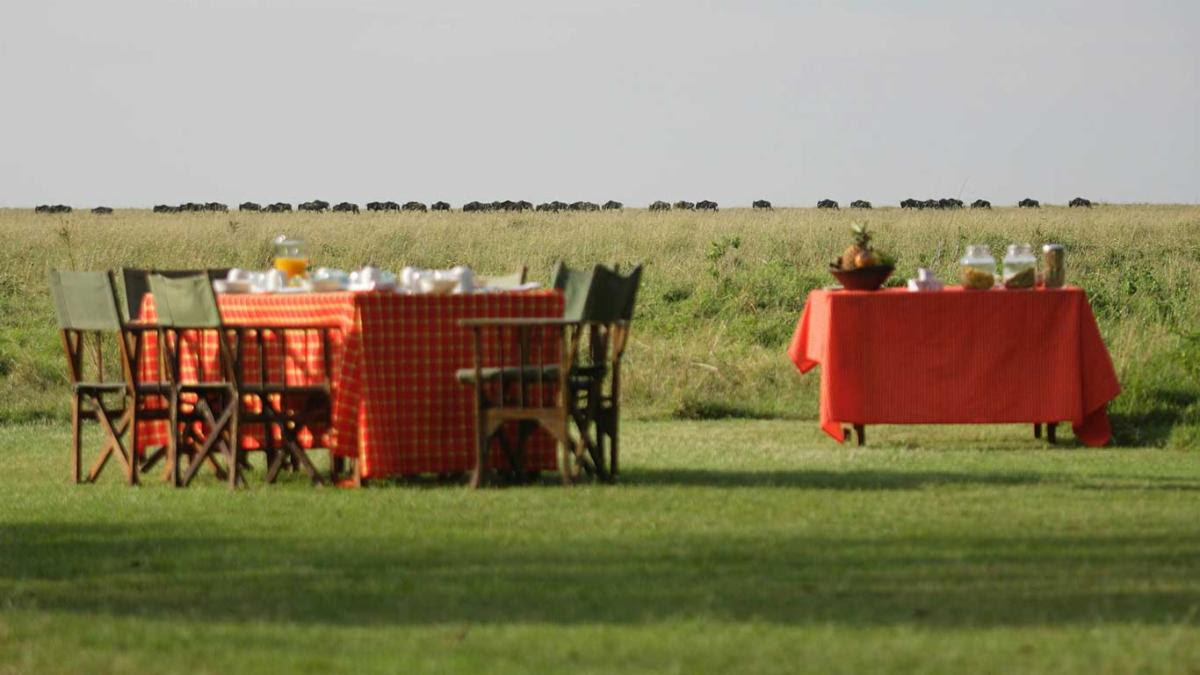 Elephant-Pepper-Camp---Breakfast-at-Camp-with-Wildebeest.jpg