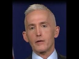 Trey Gowdy Mopping The Floor In The Name Of Justice Compilation (Video)