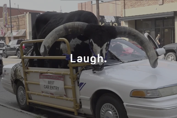 Police stop Nebraska man for bucking the law with a bull riding shotgun in his car