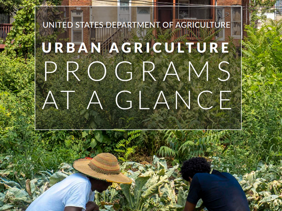 Urban Agriculture Programs At A Glance