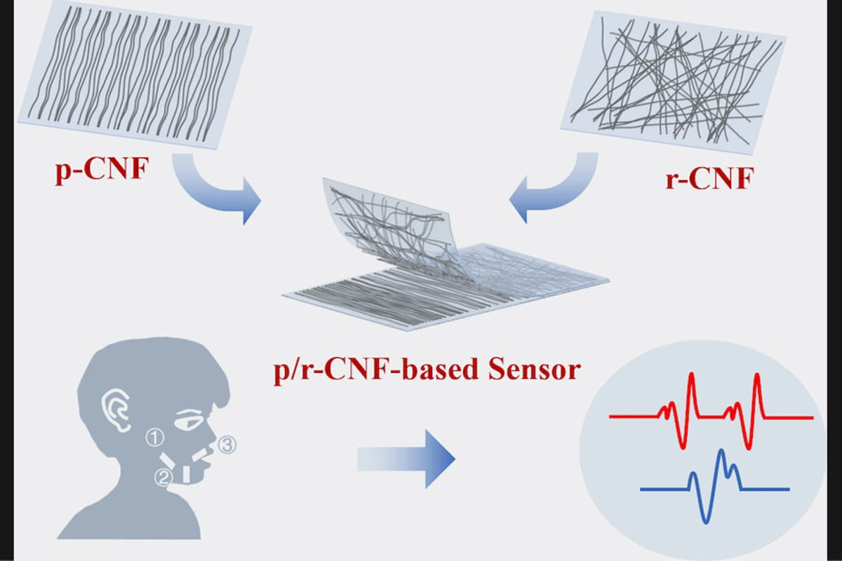 This diagram illustrates how the carbon nanofibers are arranged differently in the sensor's two stacked membranes