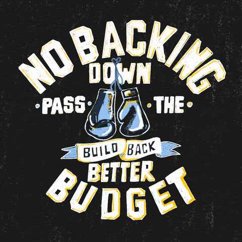 Image of hanging boxing gloves with the words "no backing down. pass the build back better budget" across the front