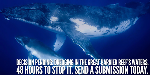 48 hours to stop dredging.