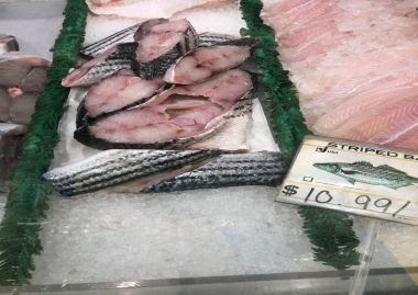 Illegal fish on display in seafood department of grocery store