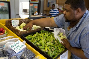 Cymlings and Okra in Mississippi