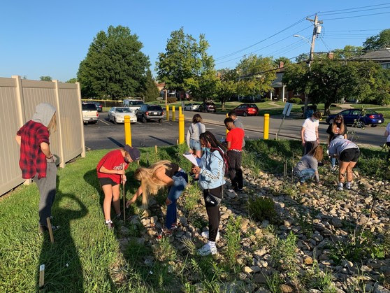 Rain Garden