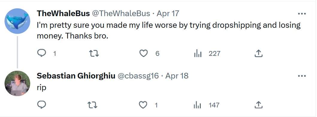 TheWhaleBus