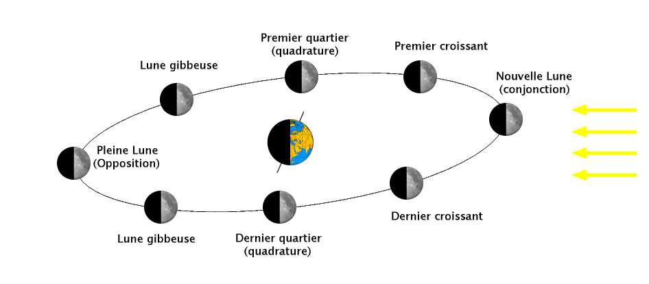 Diagramm der verschiedenen Mondphasen. © Wikipedia, CC by-sa 3.0