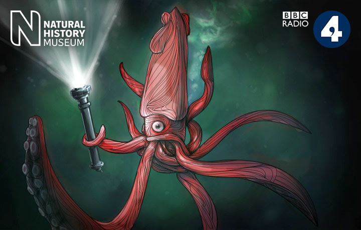 BBC series header