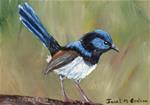 Superb Fairy Wren ACEO - Posted on Thursday, March 19, 2015 by Janet Graham