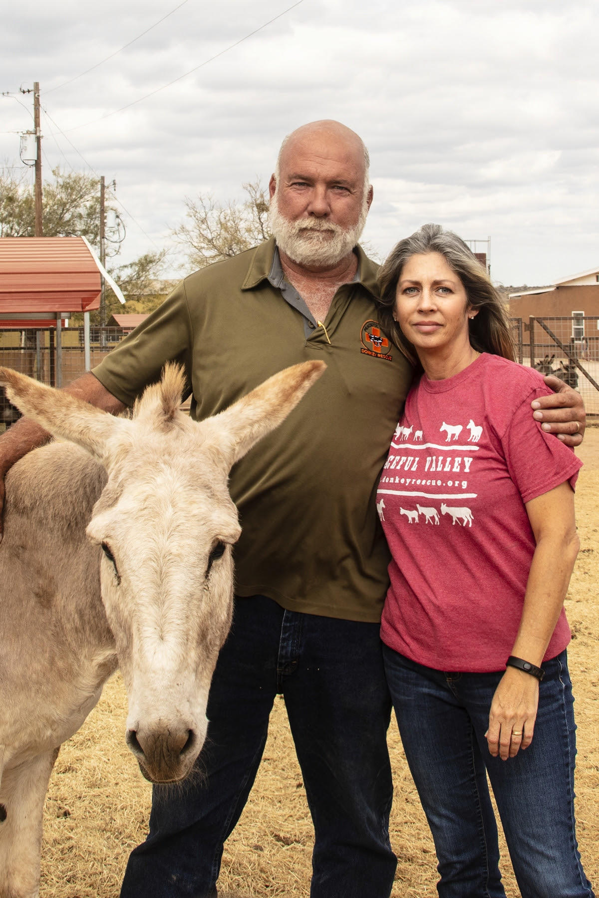 Peaceful Valley Donkey Rescue - Zebra? Zonkey? Nope .. just a donkey with  extra stripey legs. Many donkeys have some stripes on their legs, but this  gelding may win the prize for