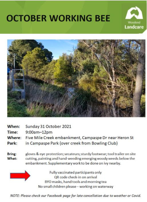 flyer - working bee - woodend landcare - 31 October 2021