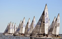 J/24s sailing off start on Tampa Bay, FL