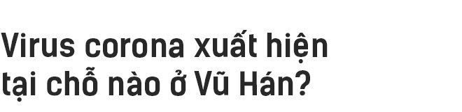 Những người tuyệt vọng ở Vũ Hán và đại dịch Corona nhìn từ đồ họa trực quan - Ảnh 27. Những người tuyệt vọng ở Vũ Hán và đại dịch Corona nhìn từ đồ họa trực quan - Ảnh 27.