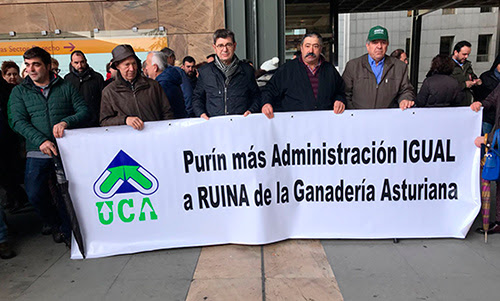 Más de 1.500 ganaderos desafiaron a la lluvia esta mañana durante la manifestación en Oviedo que les llevó desde la Consejería hasta la Junta General del Gobierno de Asturias. Foto:UPA.