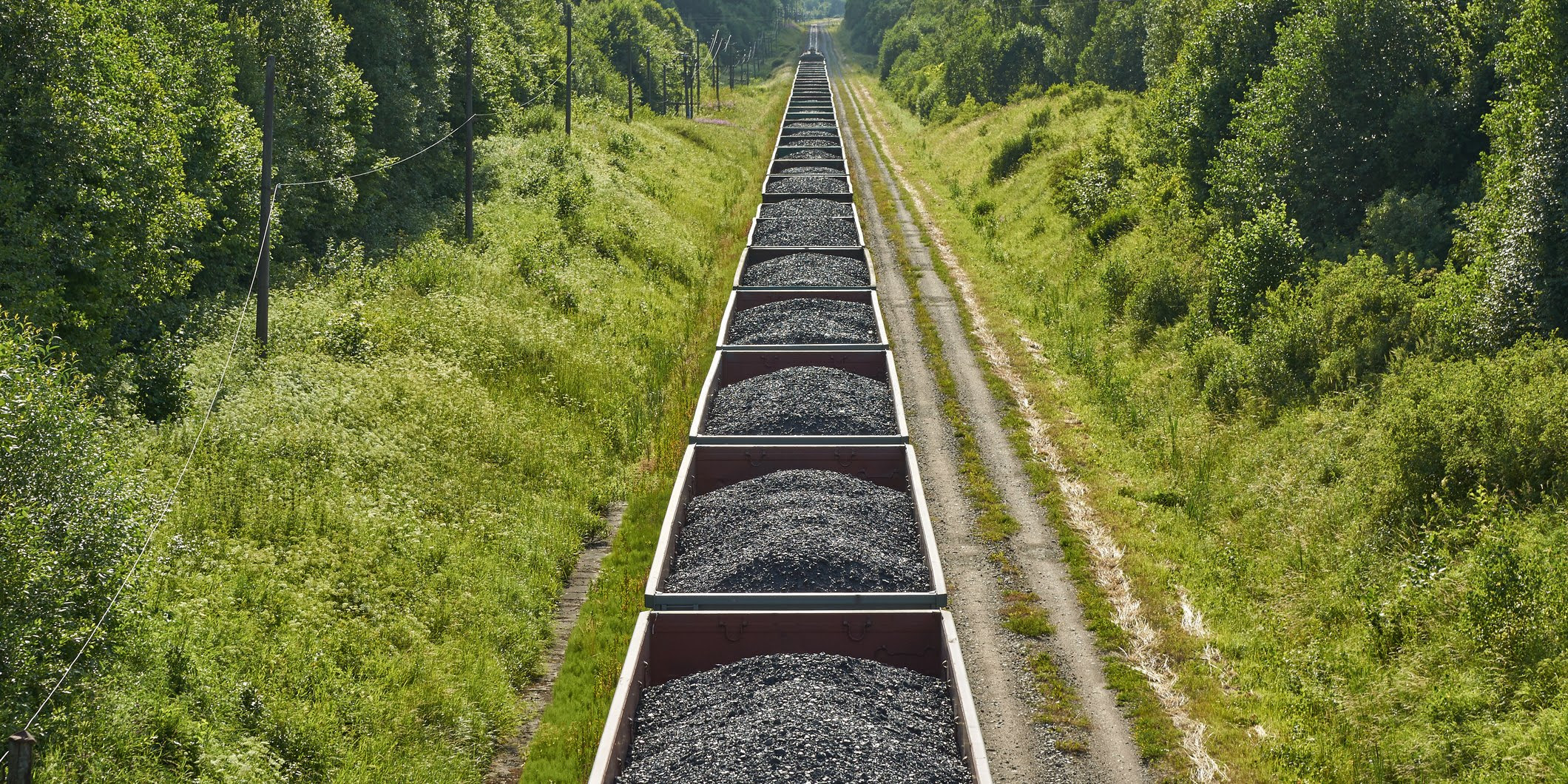 A train filled with dark coal moves through a beautiful green landscape