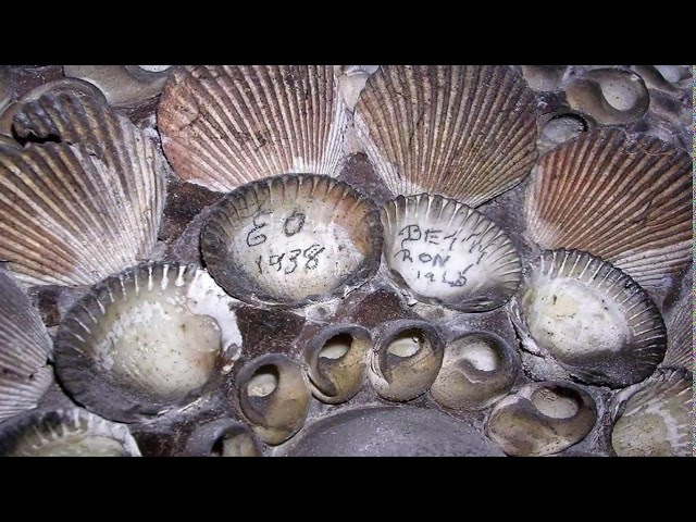 Farmer Makes Amazing Discovery Under His Field Sddefault