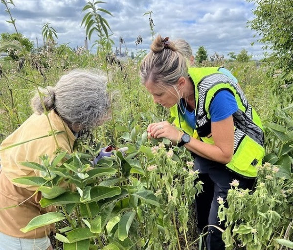 Two women in a tall-grass prairie lean in to closely examine a plant.