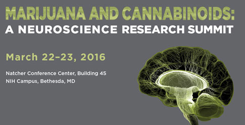 Marijuana and Cannabinoids: A Neuroscience Research Summit