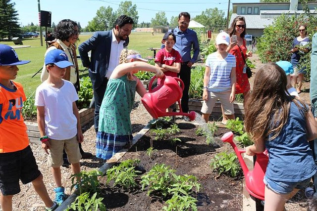 Provincial community grants support non-profit projects across Alberta