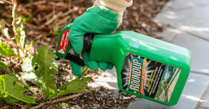 Glyphosate pesticide being sprayed