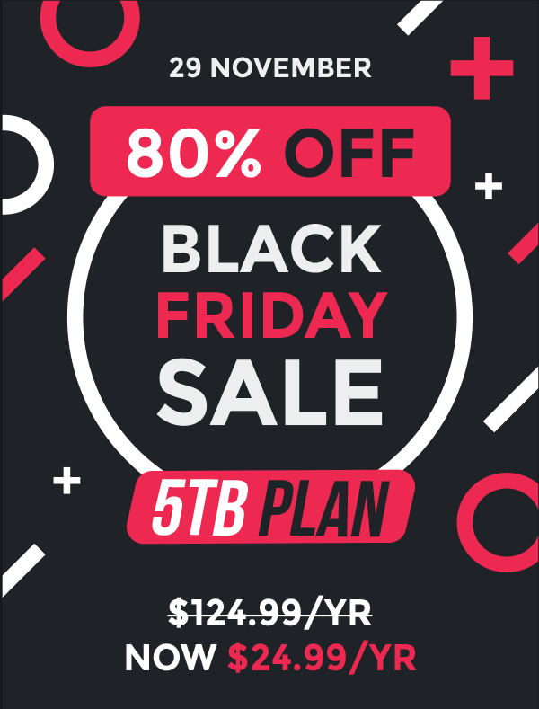 Zoolz Black Friday Sale