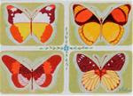 Orange and Gold Butterfly #2 - Posted on Thursday, January 29, 2015 by Velma Davies