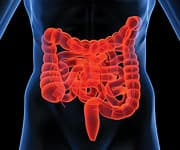 Intestinal Bacteria Modulate Key Signaling Systems With Your Body