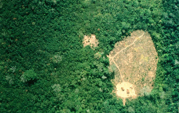 "Isolated Uru Eu Wau Wau villages seen from the air, Brazil"