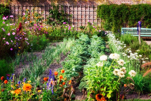 Organic vegetable and flower garden