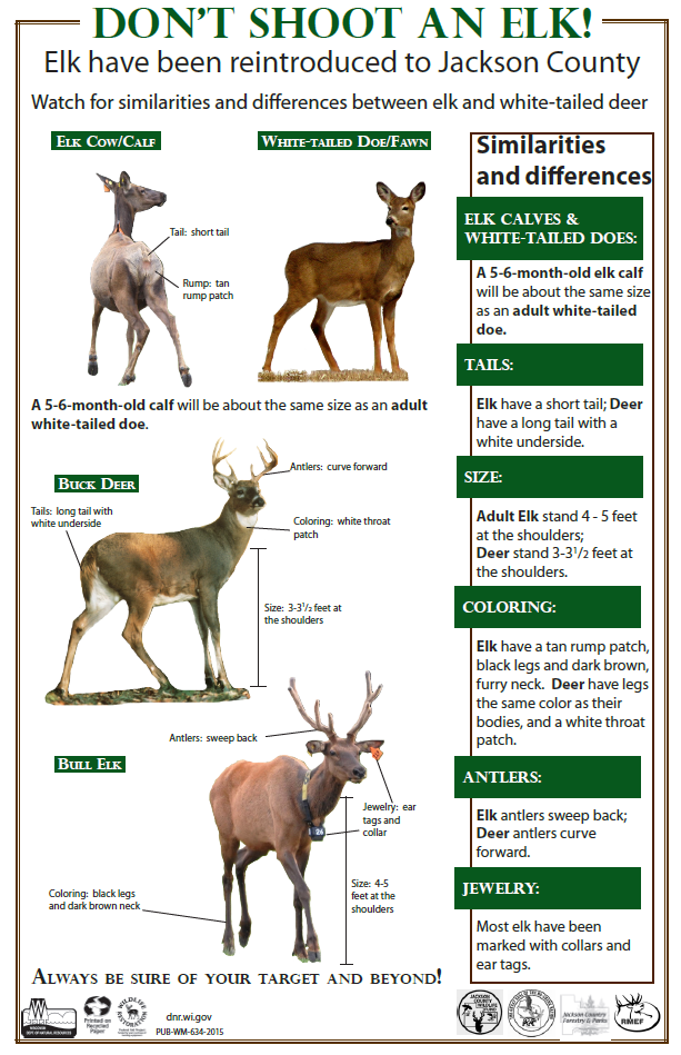 Elk and deer description poster