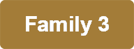 Family 3