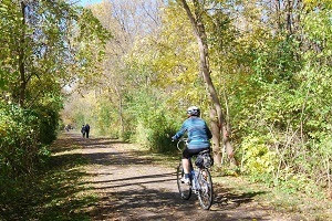 People biking and walking the Paint Creek Trail in Oakland County, the trail is lined with mature trees 