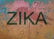 Zika map