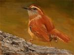 Carolina Wren - Posted on Monday, March 30, 2015 by Mary Datum