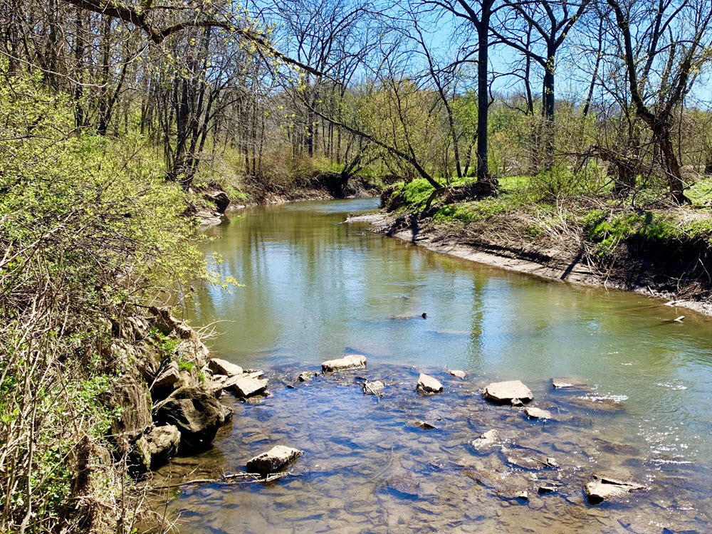 A stream running through the Pecatonica River Woods State Natural Area