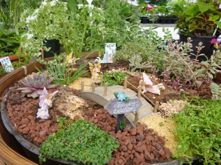 Courtesy photo. Be sure to check out the fairy gardens for sale at Marks Farms.