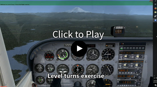 flight simulator.jpg