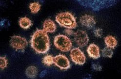 La urgencia de la pandemia empuja al uso de tratamientos para el coronavirus cuya eficacia está todavía probándose