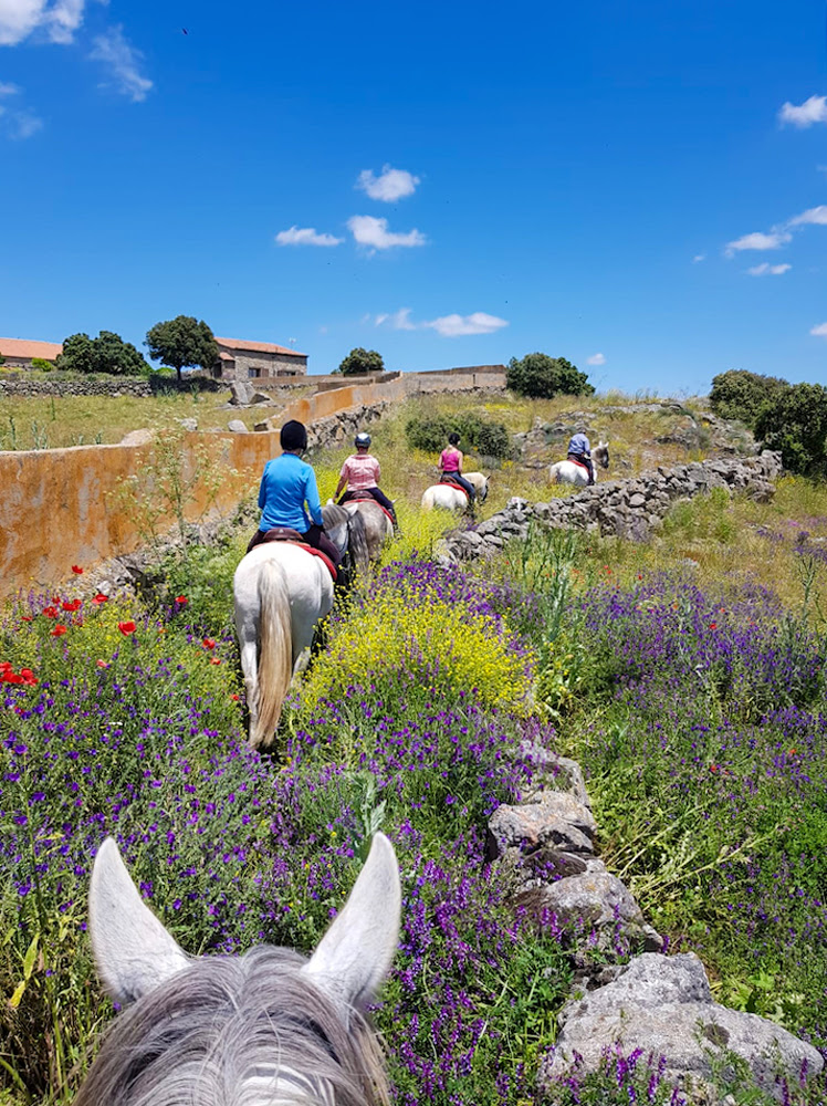 horse riding holiday