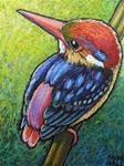 Oriental Dwarf Kingfisher - Posted on Thursday, January 22, 2015 by Ande Hall