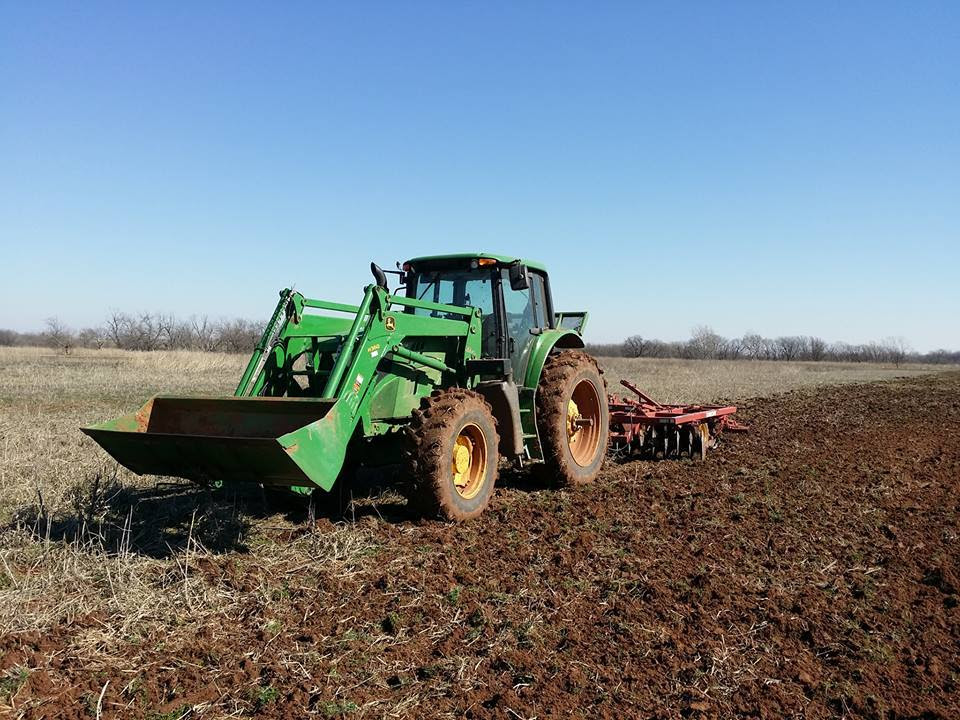 discing a dove field