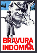 Clique aqui e assista: Bravura Indômita (1969)