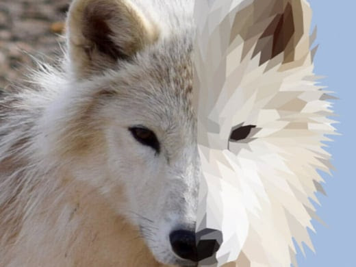 Arctic-1