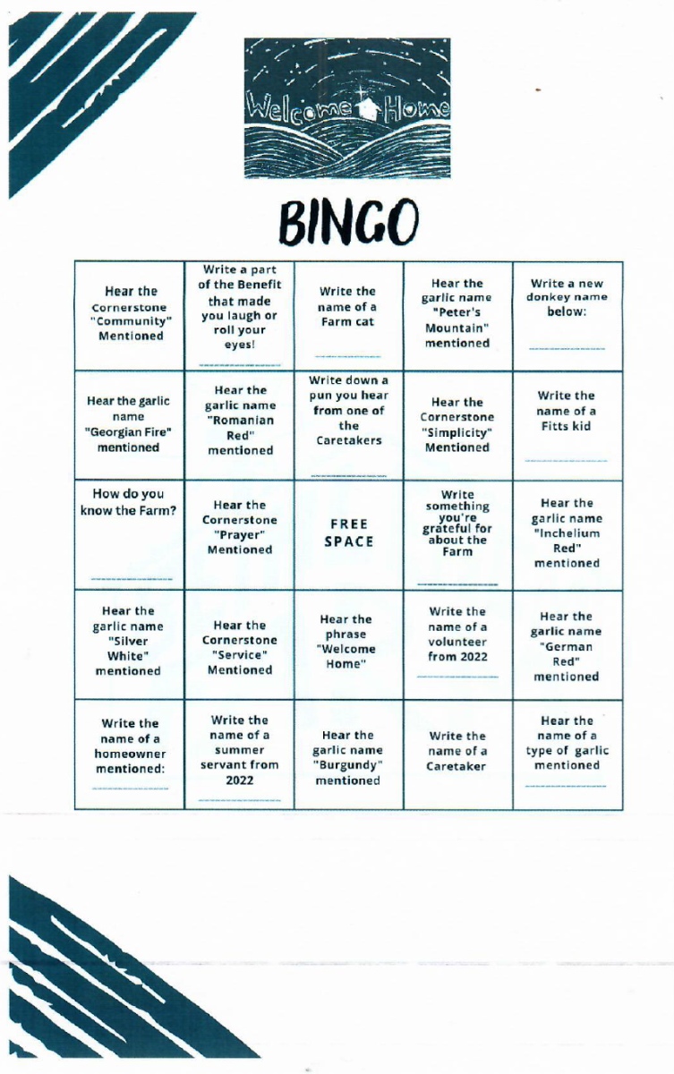 Bingo%202.png