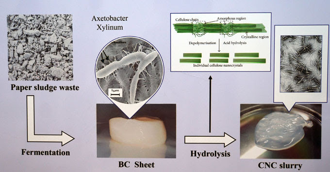 Sơ đồ quy trình chuyển hoá bùn giấy (paper sludge waste) thành lớp màng CNC