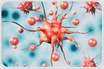 Researchers clarify immune response for patients with breast cancer brain metastases