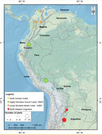 Patrones regionales de dinámicas de bosques andinos