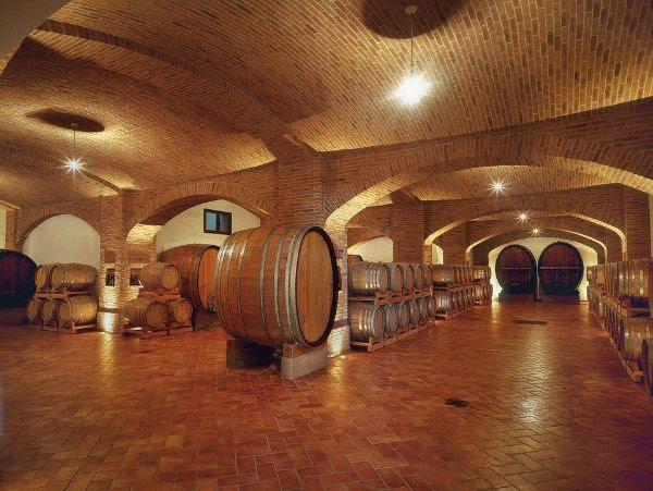 Aldo Manfredi Family Wine Cellar showing many oak barrels in the fermentation stage.